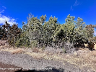 316 Sierra Ln, Ruidoso Downs, NM 88346