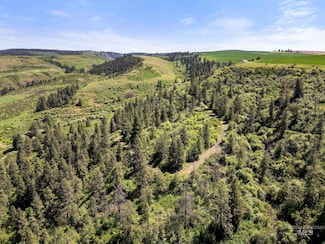 37607 Webb Ridge Rd, Lapwai, ID 83540