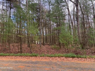 Lot 1 Billy Ln, Palmyra Township, PA 18464