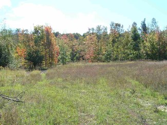 o Mill Rd, Grawn, MI 49637