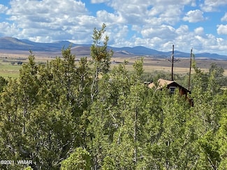 Lot #4 Hidden Valley Dr, Eagar, AZ 85925