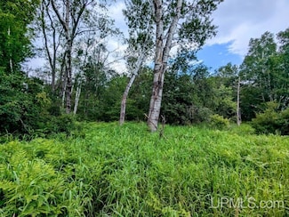 8.42 acres Fairbanks Rd, Crystal Falls, MI 49920
