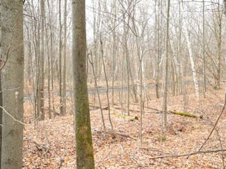 L Smith St, Dannemora, NY