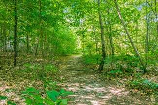 7162 Pine Grove St, Allendale, MI 49401