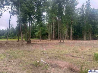 Lot 17 Heidi Ln, Hamer, SC 29547