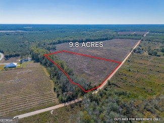 TRACT 9 Pine Cone Trail, Mershon, GA 31551