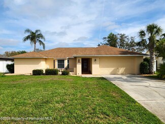 13459 Kane Rd, Spring Hill, FL 34609