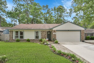 49 Rockfern Ct, Spring, TX 77380