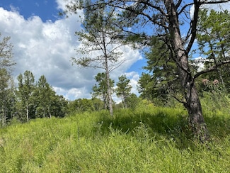 424-Tract 6 Kentucky 577, Fogertown, KY 40962