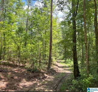 0 Fleming Rd Unit 1 21425670, Vincent, AL 35178