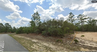 3816 W Baton Ln, Pine Ridge, FL 34433