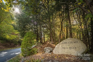 99999 Shining Rock Path, Horse Shoe, NC 28742