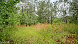 0000 Henderson Rd, Jackson, MS 39272