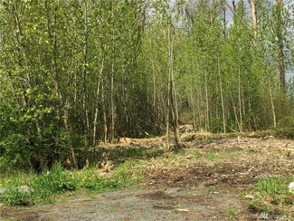 0 Jones Rd, Sumas, WA 98295