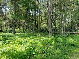 TBD Grouse Loop NW, Walker, MN 56484