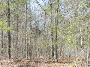#5 Ingleside Dr, Laurinburg, NC 28352