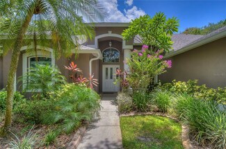 10602 Chambers Dr, Tampa, FL 33626