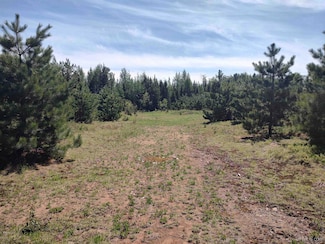 58 Acres County Road Fn, Champion, MI 49814