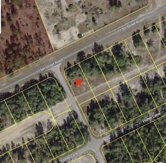 0 Tbd 113th Street Lot 1 Rd Unit R11129981, Ocklawaha, FL 32179