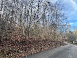 23 Left Fisherman Cove Rd, London, KY 40741