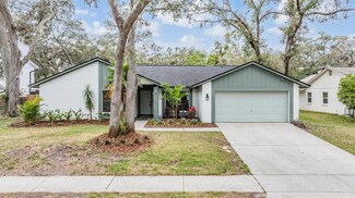 2804 Ormandy Ct, Tampa, FL 33618