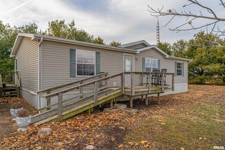 7907 E Logan County Line Rd, Williamsville, IL 62693