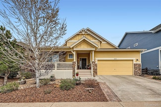 2872 Dreamcatcher Loop, Castle Rock, CO 80109