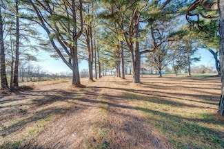 24315 Highway 76 N, Somerville, TN 38068