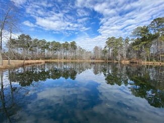 0 Gator Rd, Gaston, SC 29053