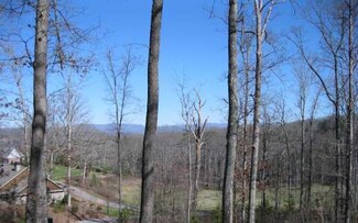 1416 Holly Ln, Hiawassee, GA 30546