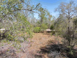 416 NE Hillside Terrace, Lee, FL 32059