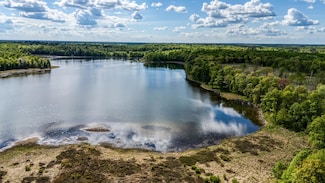 000 Lamon Rd NE, Turtle River Township, MN 56601
