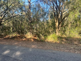 0 Guava Terrace Unit MFROM693956, Ocklawaha, FL 32179