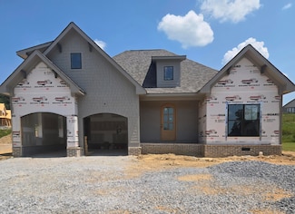 10597 Brownspring Dr, Apison, TN 37302