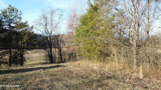 Lot 1R-3 S Old Sevierville Pike, Seymour, TN 37865