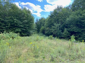 Lot WA1 Partridge Knoll, Cathance Township, ME 04628