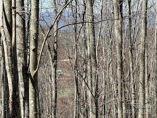 146 E Clubhouse Rd Unit 99, Sylva, NC 28779