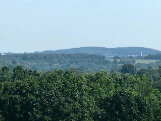 0 Girlstown Rd, Mountain Grove, MO 65711
