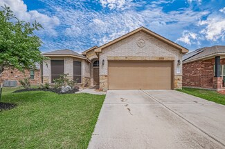 20614 White Lilac Trail, Katy, TX 77449