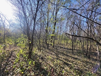 TBD 438th St, Harris, MN 55032