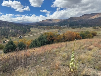 21.745ac Los Alamitos Rd, Chacon, NM 87713