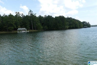 Lot # 30 Turkey Trot Ln Unit 30, Wedowee, AL 36278