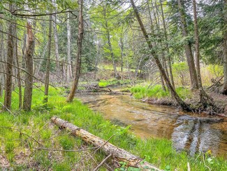 V/L W 30 Rd, Harrietta, MI 49638
