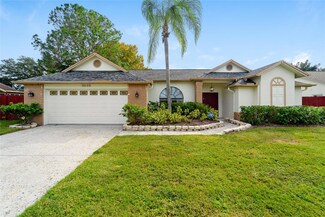 2205 Lake Bay Way, Brandon, FL 33511
