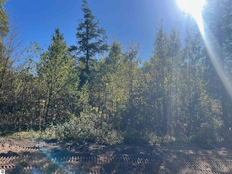 8889 Hemlock St, Traverse City, MI 49686