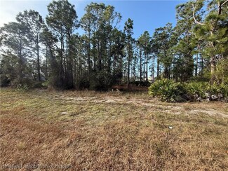 662 Wildflower St, Lake Placid, FL 33852