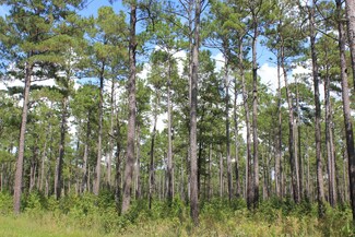 0 Shulerville Rd Unit 20033537, Jamestown, SC 29453
