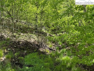 19 Wakeman Way, Banner Elk, NC 28604