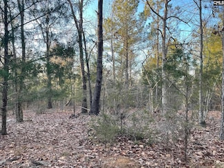 TRACT 2 S Carolina 219, Pomaria, SC 29126