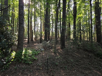 TBD Evergreen Trail, Fancy Gap, VA 24328